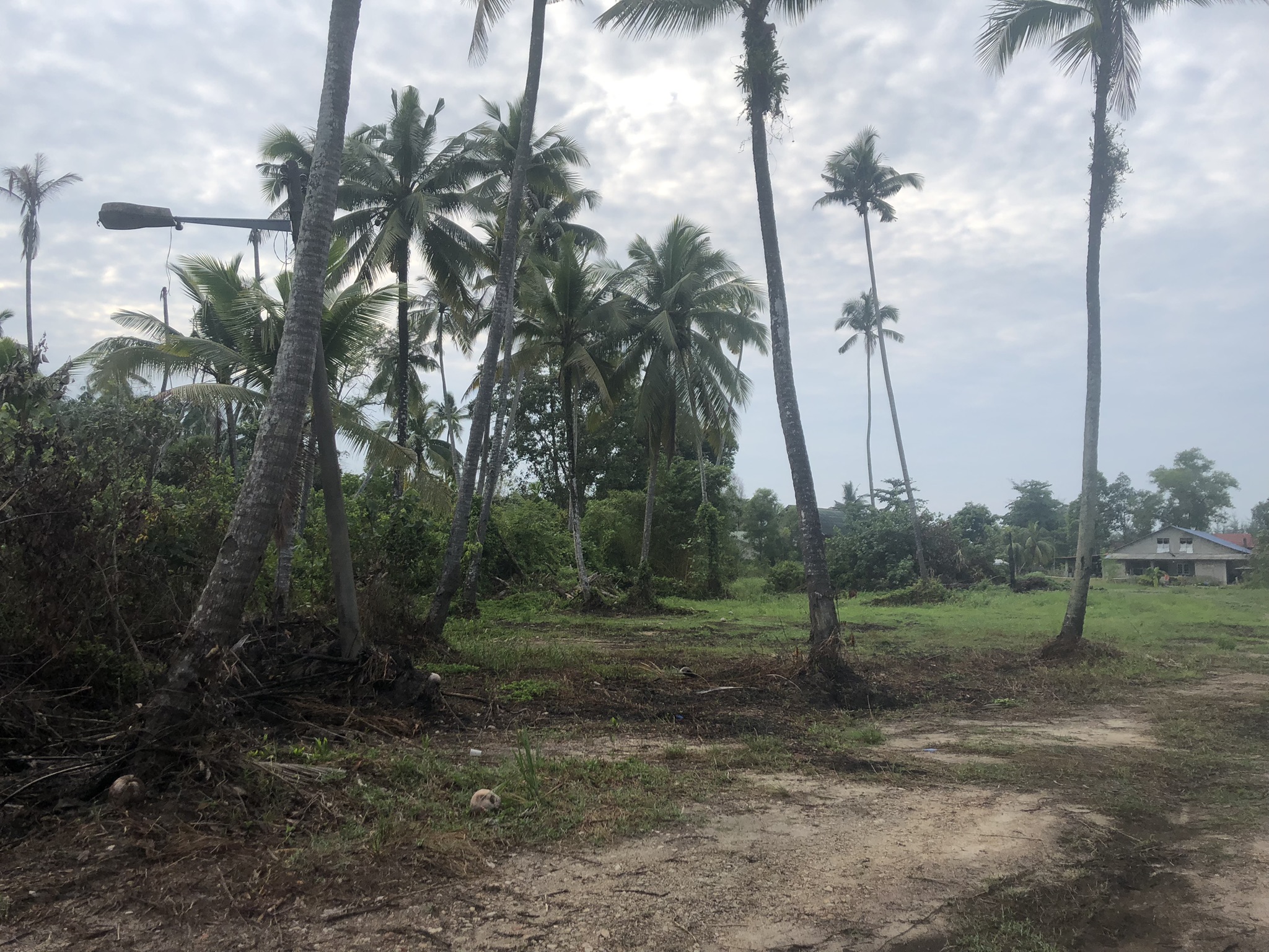 Cherating Wildlife