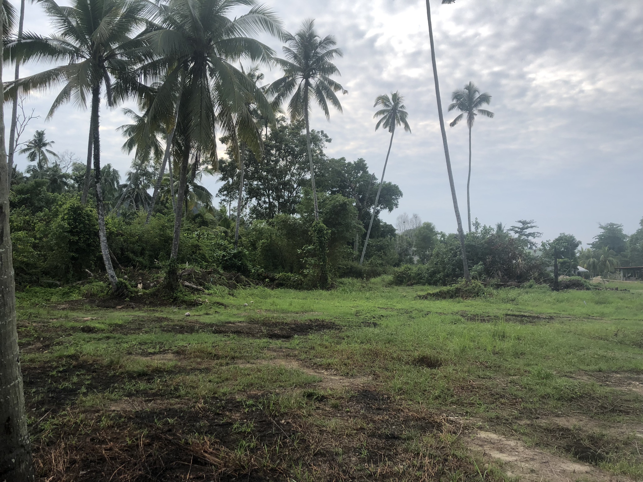 Activities in Cherating